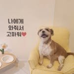kong.e_eee 프로필 사진