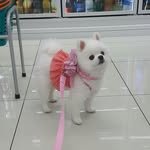 qzznmwh2o 프로필 사진
