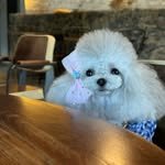 gre_leeluv 프로필 사진