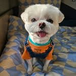 __jung__juju__ 프로필 사진