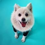 coco_my.angel 프로필 사진