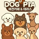 udogpia_official 프로필 사진
