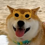 bread_star 프로필 사진