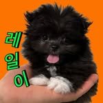rail_250130 프로필 사진