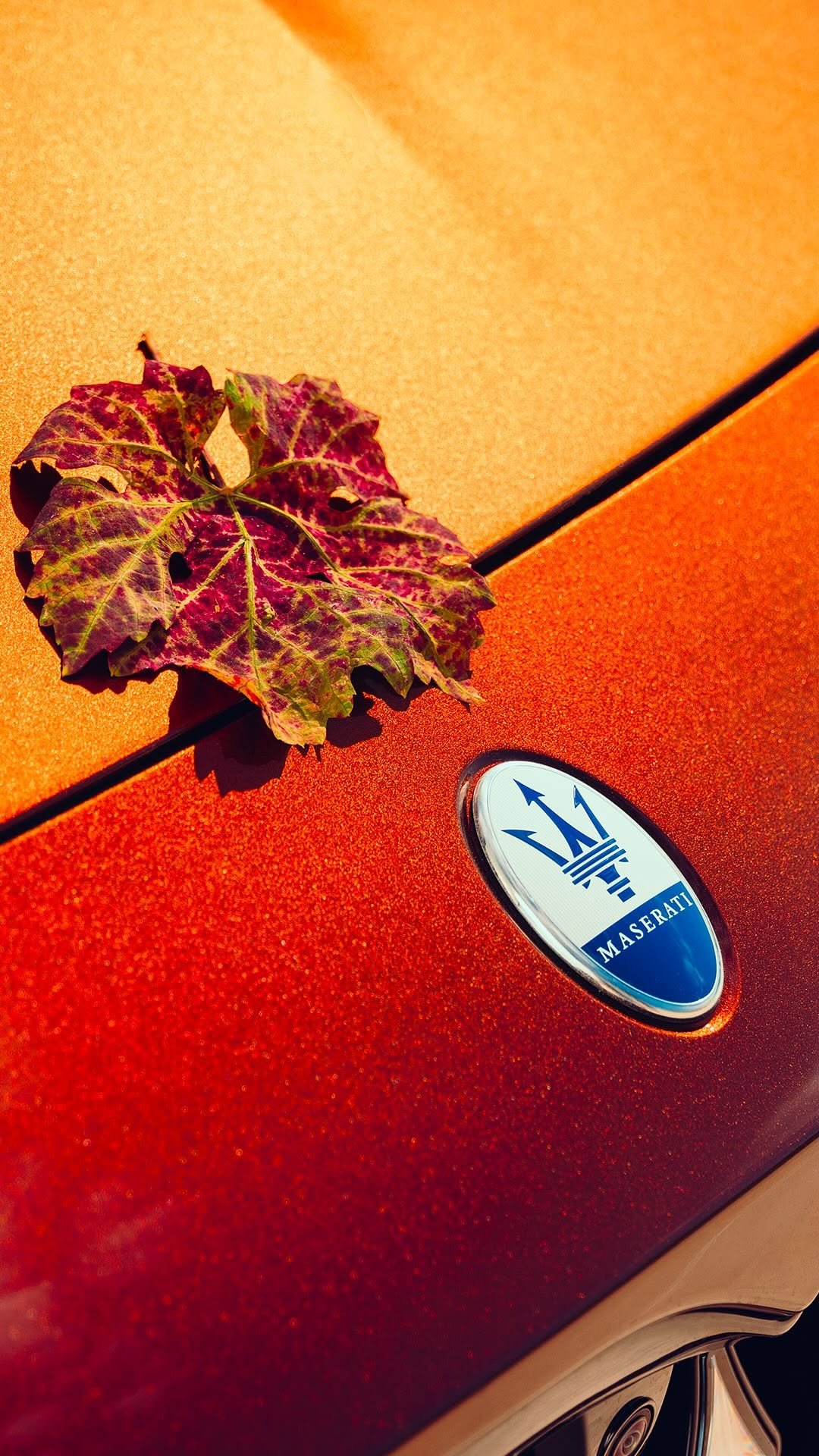 maserati 게시물 이미지: Born from the meeting of Maserati and...