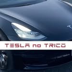 tesla_no_torico 프로필 사진