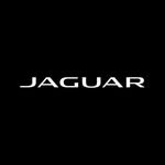alfardanjaguarqa 프로필 사진