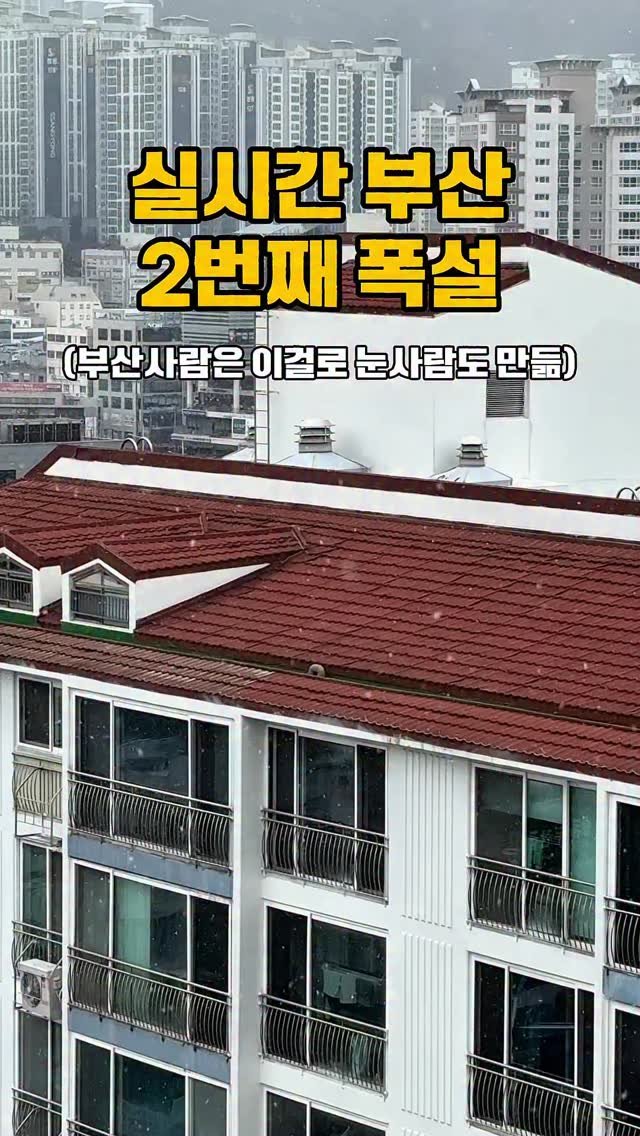 mat_hwa 게시물 이미지: 기상예보에 눈 있길래 비웃었는데 진짜오다니!!!!!