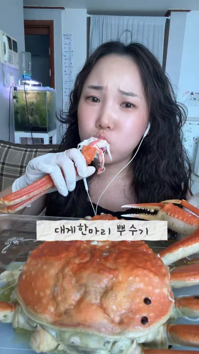 mat_hwa2 게시물 이미지: 🦀 러시아 대게 앵콜!!!!. 3키로에 2-3미 영상 오타!!!

💰 3kg...