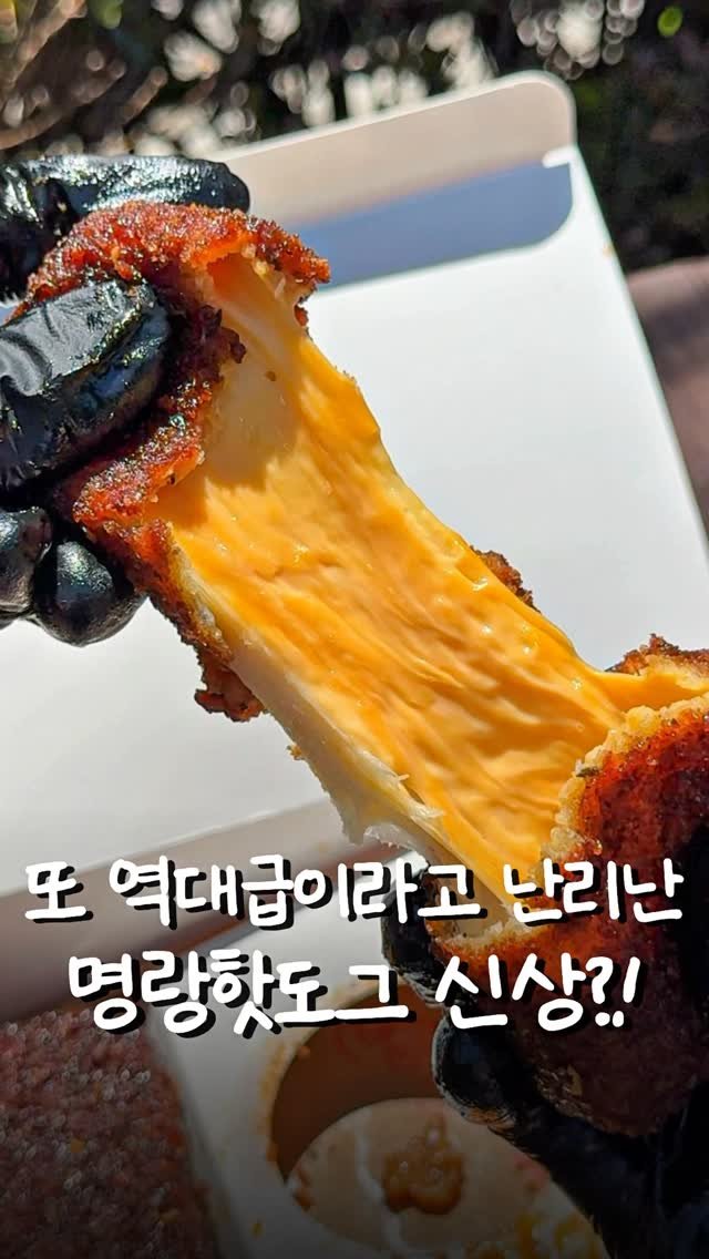 matcoder_ 게시물 이미지: 명랑핫도그 야호!

이미 한번 품절대란으로 난리났던
명랑‘s 치즈스틱이 이번에...