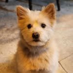 malletshin_ 프로필 사진