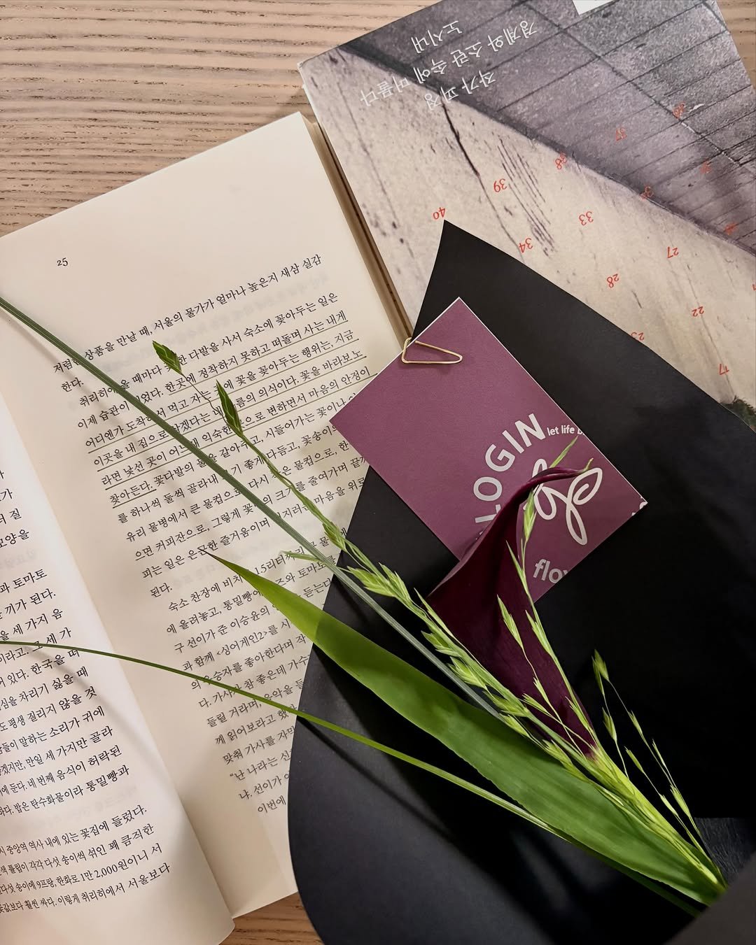 matibooks 게시물 이미지: 노시내 작가님과 만나기 30분 전, 카라 한 송이를 샀습니다. 타국 생활을 오래...