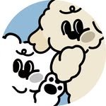 soutem.kr 프로필 사진