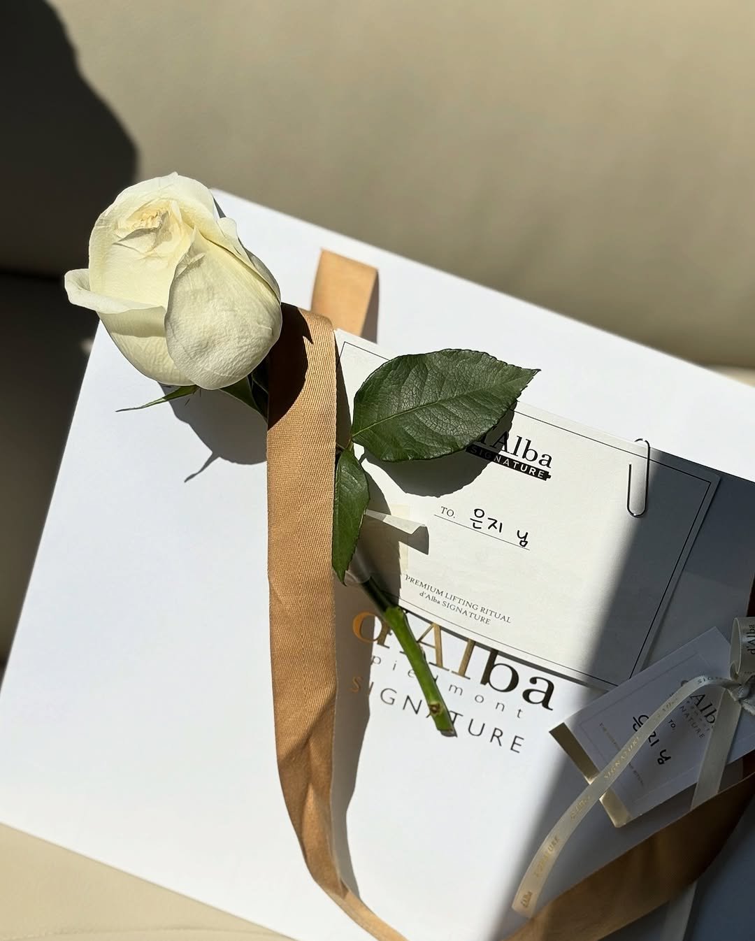 Photo shared by 은지 on November 05, 2025 tagging @dalba_piedmont. May be an image of prairie gentian, baby's-breath, white lily and text that says 'ATURER lba Alba UREK 여은지님 ea TO. 으지 y3 ነወይ PREMJUM よaロ ABu5 LSFTING AOMING LSFTING GN GNATURE N mont m a KITUAS UAI IGNATTA ATURE TUKP RET G URE'.