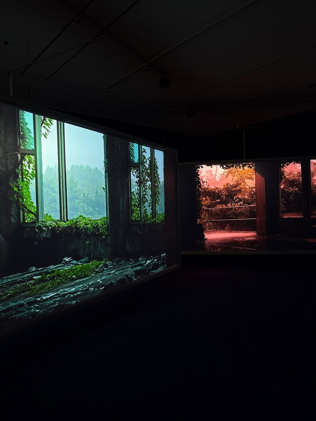 Photo by 은지 on October 18, 2025.