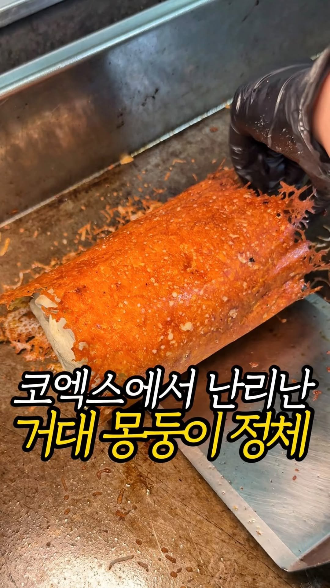 matjun11 게시물 이미지: 치즈에 돌돌 싸는 이 거대한
몽둥이의 정체???

이게 바로 요즘...