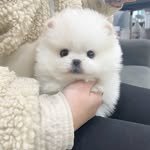 some4766_ 프로필 사진