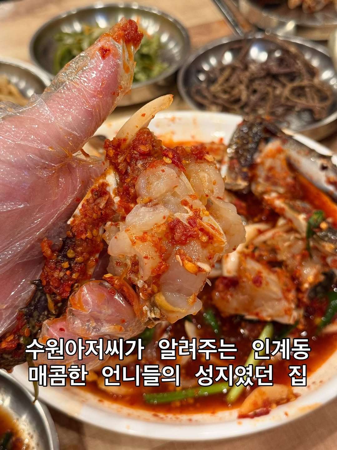matnanyong 게시물 이미지: 수원 인계동 #짱돌네

인계동 알사람들은 다 아는 매운 꽃게무침 맛집이다

오픈한지...