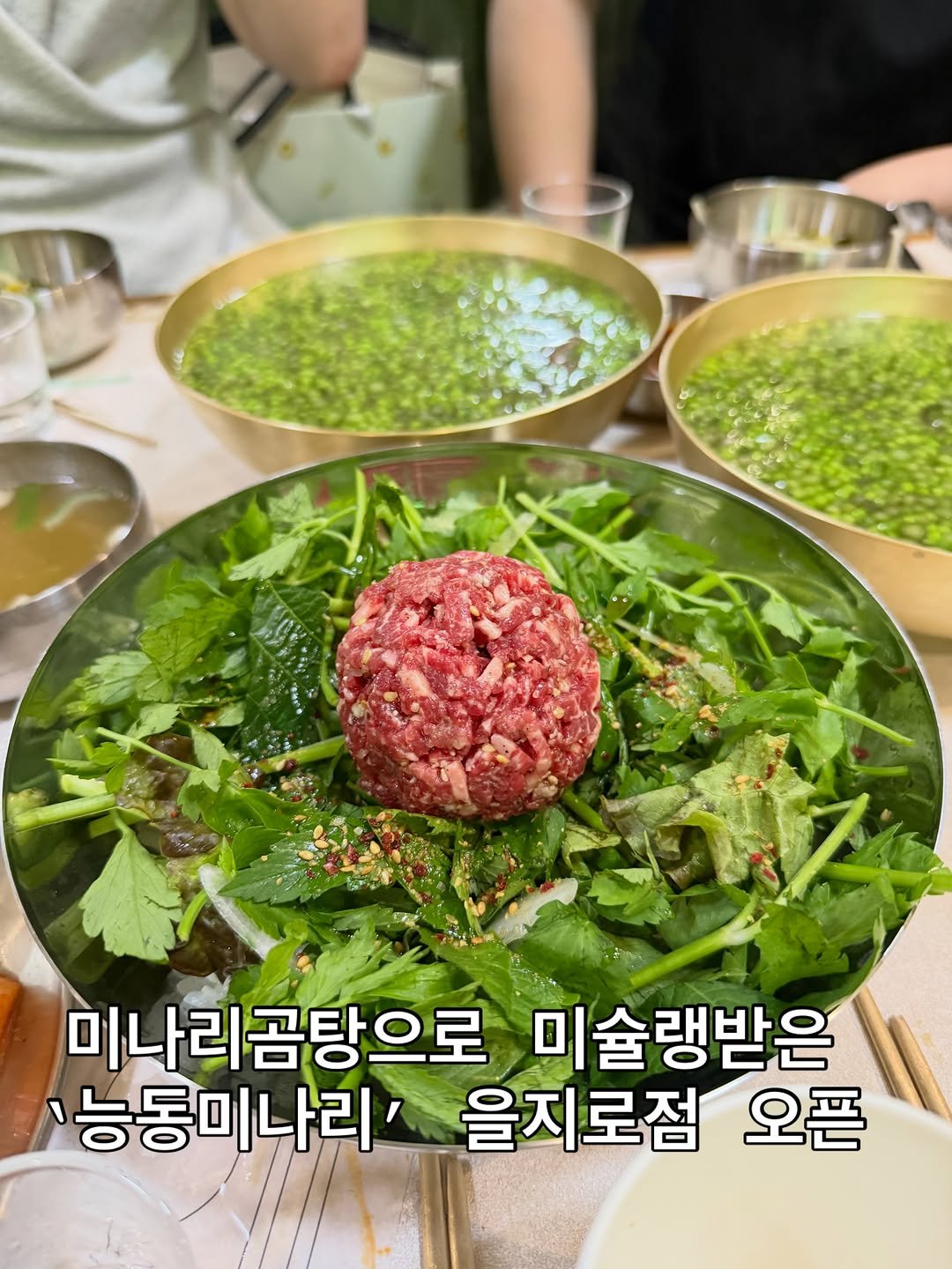 matnanyong 게시물 이미지: 을지로 #능동미나리

미나리곰탕으로 용산을 휩쓸고 미슐랭 빕구르망에 등재된...