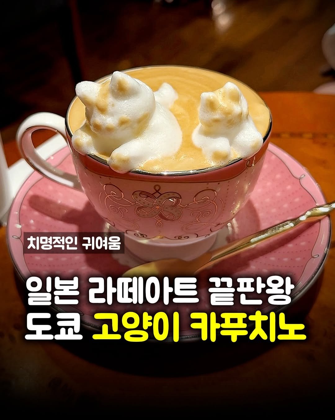 Photo by 맛파민 | 맛집투어 서울맛집 학식투어 on July 31, 2025. May be an image of coffee, coffee cup and text that says '치명적인 귀여움 일본 라떼아트 끝판왕 도쿄 고양이 카푸치노'.