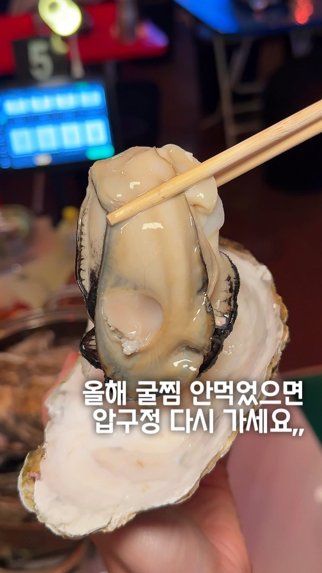 matport_ 게시물 이미지: 와;; 굴철인데 아직 못드셨다면 여기로 가보세요!🦪
어마어마한 크기의 삼배체 굴을...