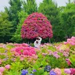_healing_pic 프로필 사진