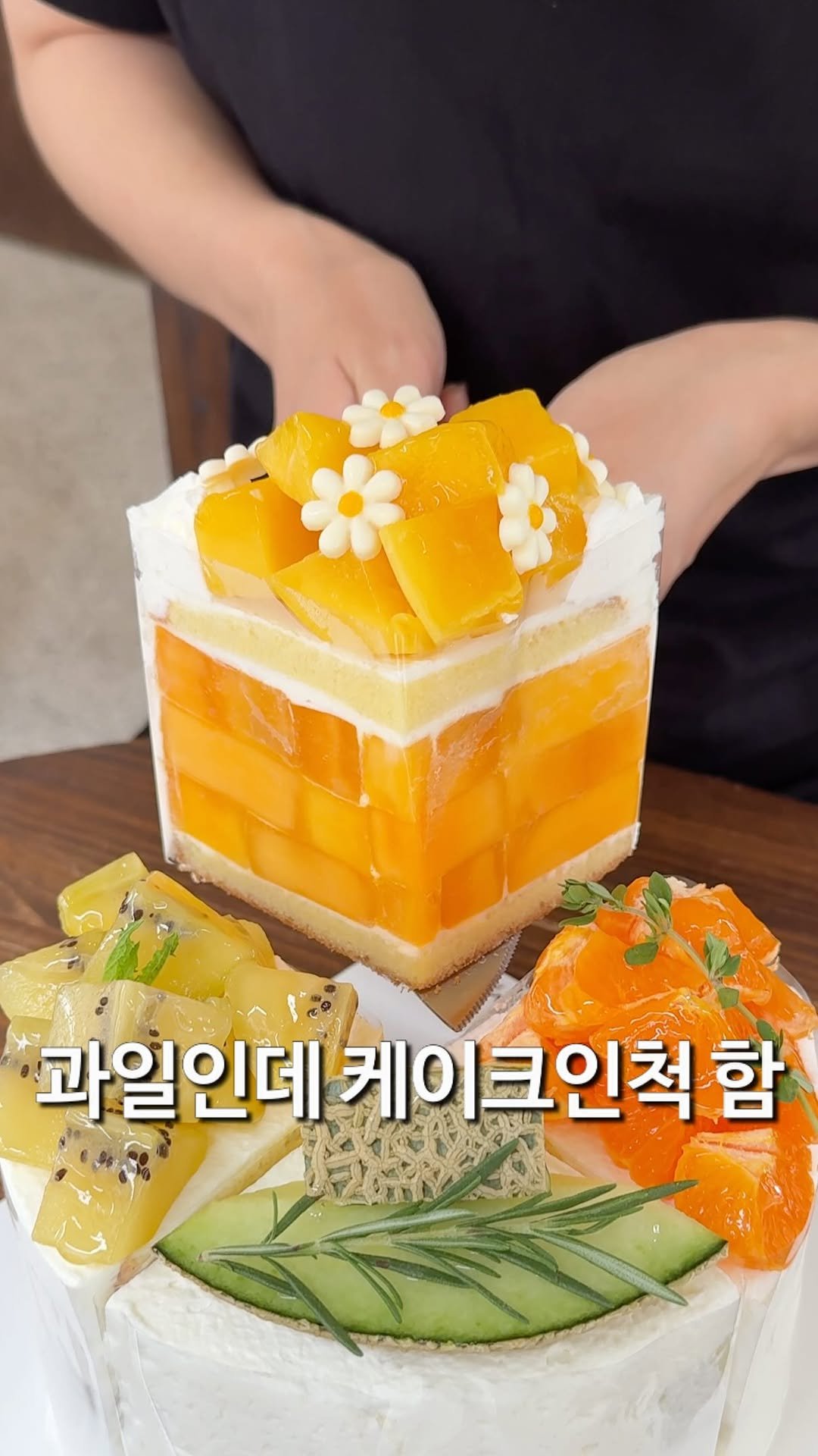 matzip_hyena 게시물 이미지: 과일인데 케이크인 척 함
🥝🍈

여자친구가 그 날이라서 과일 먹고 싶다길래 이거...
