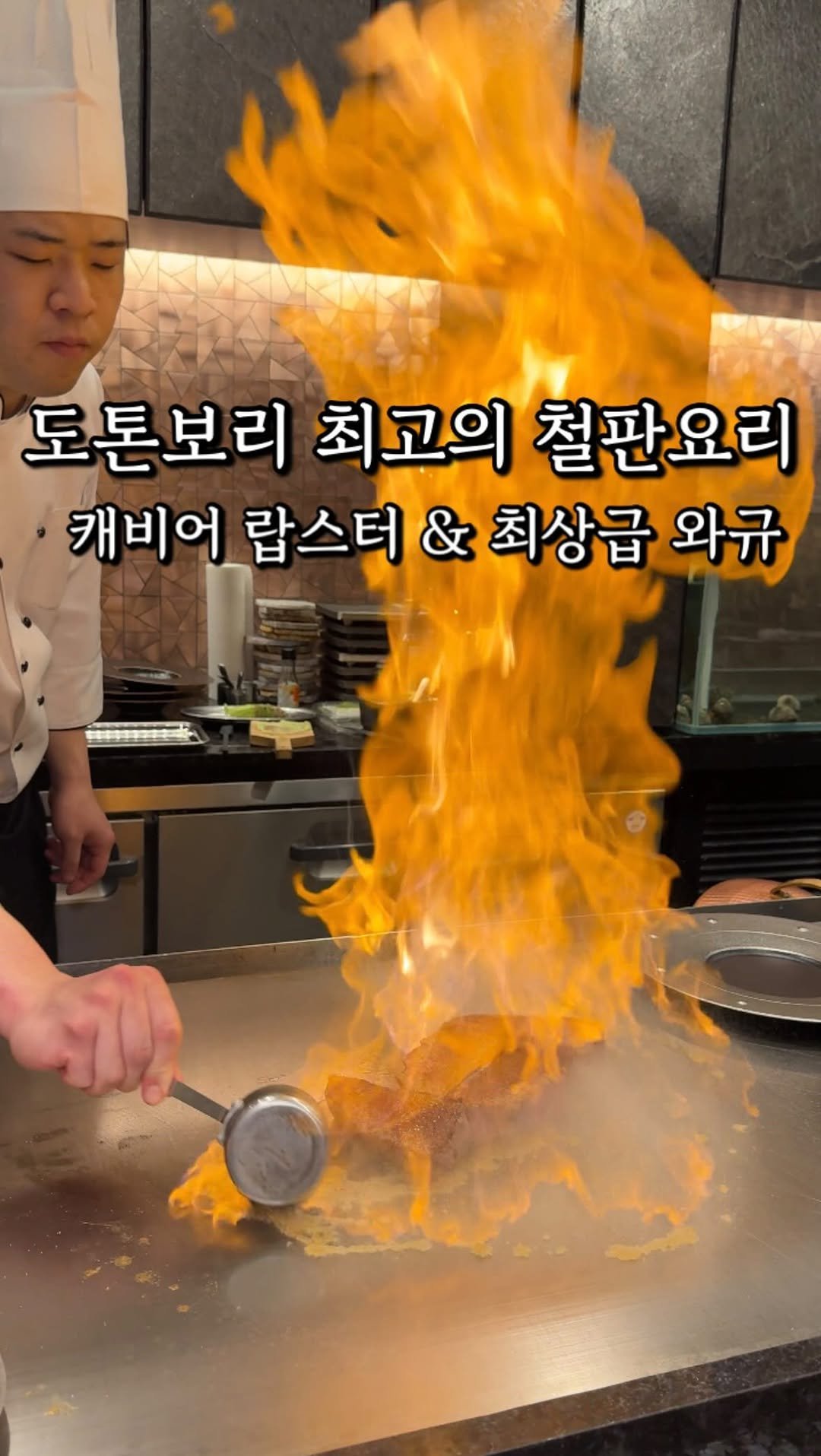 matzip_spoiler_ 게시물 이미지: 캐비어가 올라간 랍스터와 최상급 와규 철판요리다
눈과 입으로 먹는...