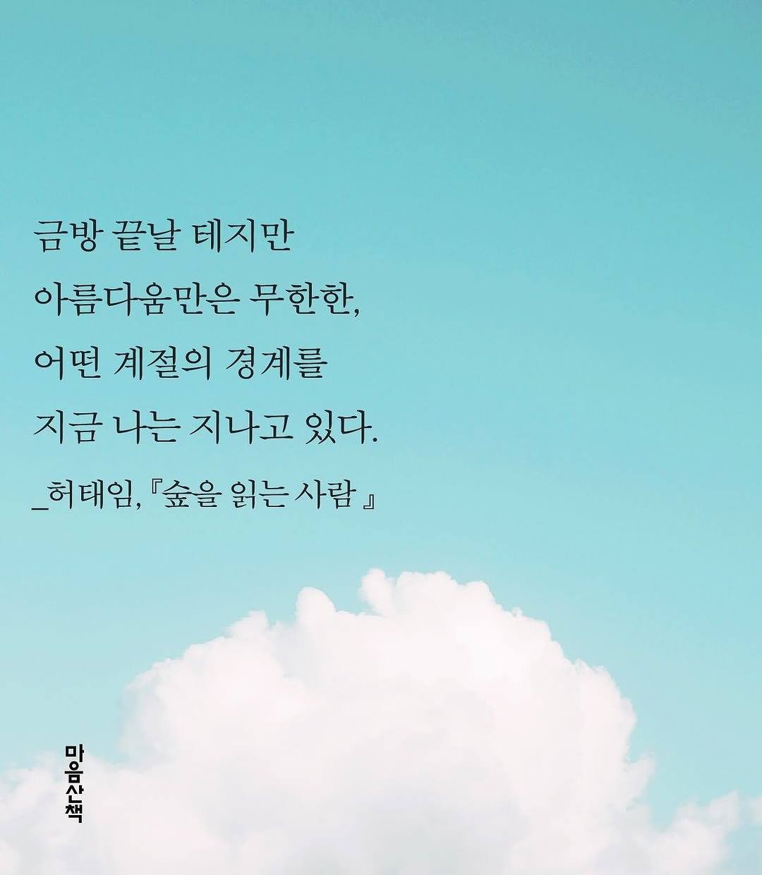 Photo by 마음산책 on August 18, 2025. May be an image of text that says '금방 끝날 테지만 아름다움만은 무한한, 어떤 계절의 경계를 지금 나는 지나고 있다. _허태임, 숲을 읽는 읽는사람』 태임,숲을읽는사람』 사람 บ'.