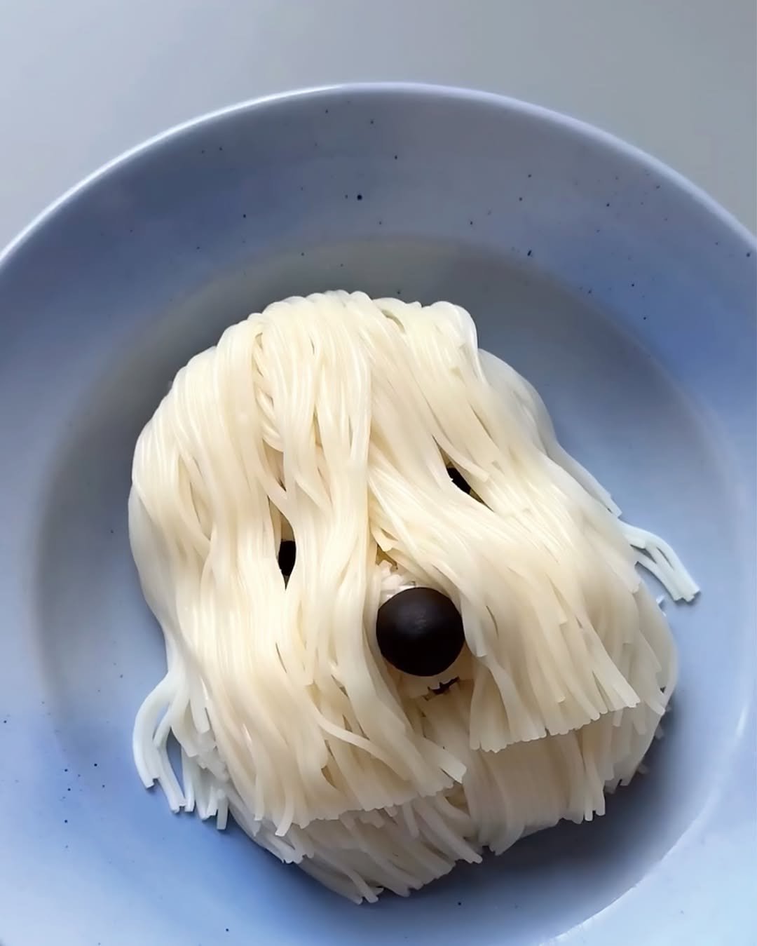 Photo by 마음산책 on September 25, 2025. May be an image of Norwich terrier, chow mein, pasta, spaghetti, noodles and text.