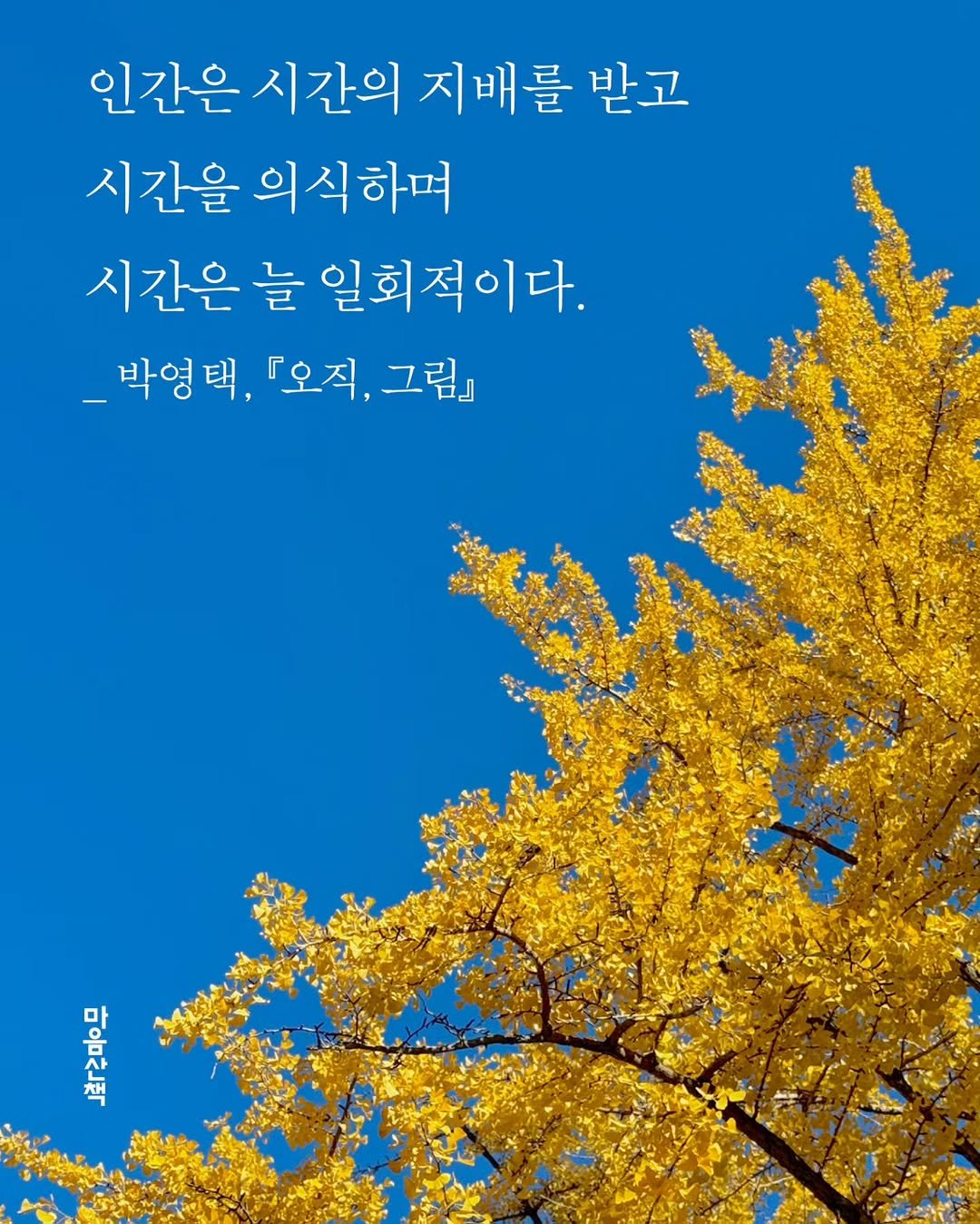 Photo by 마음산책 on November 12, 2025. May be an image of outdoors and text that says '인간은 시간의 지배를 받고 시간을 의식하며 시간은 늘 일회적이다. _박영택, 박영택,다오직,그림』 『오직, 『오직,그림] 그림」 마 우아'.