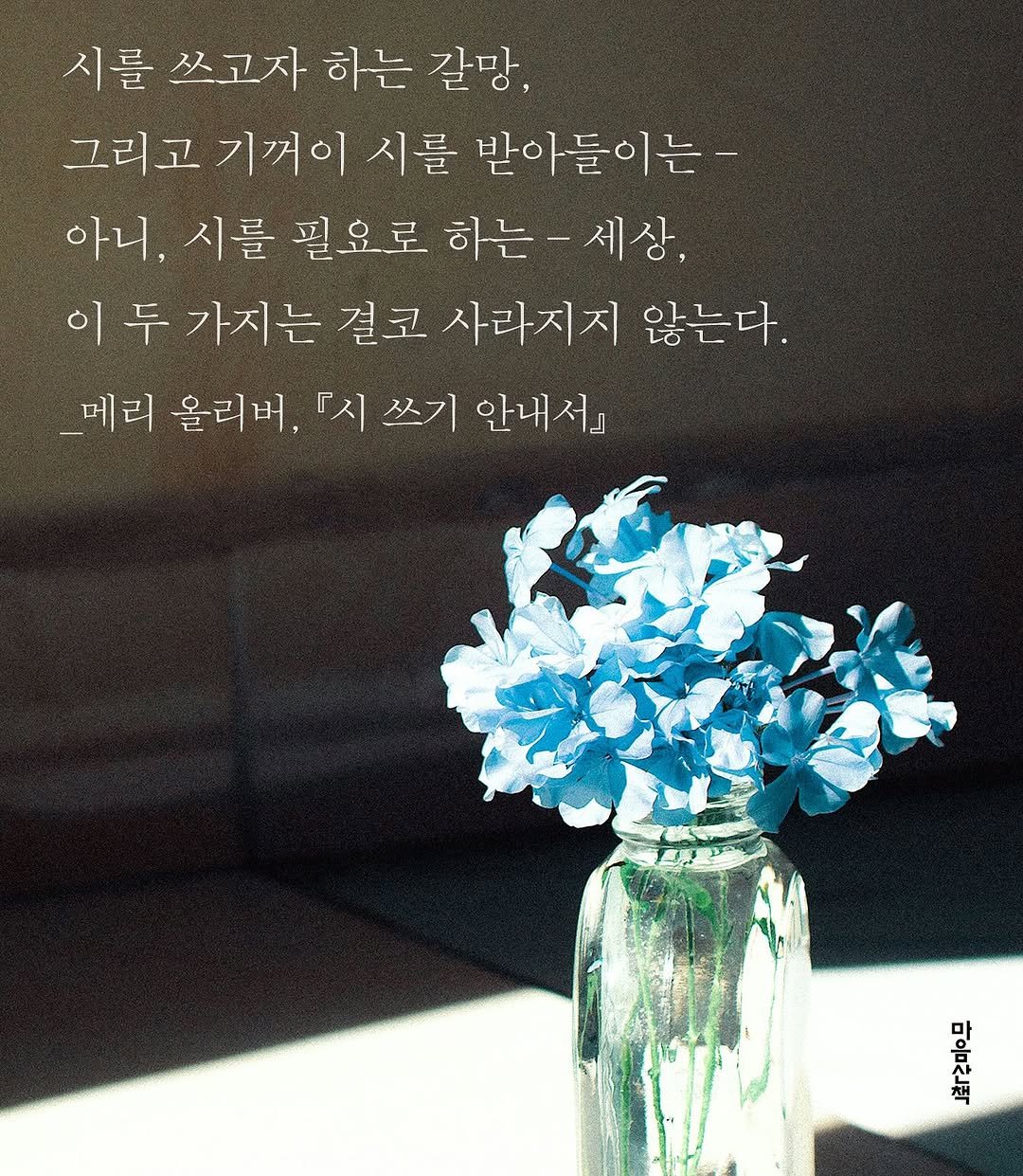 Photo by 마음산책 on August 21, 2025. May be an image of baby's-breath, scorpion grass and text that says '시를 쓰고자 하는 갈망, 그리고 기꺼이 시를 받아들이는- 아니, 시를 필요로 하는 하는-세상, 세상, 이두 두 가지는 결코 사라지지 않는다. 메리 올리버, 『시 쓰기 안내서』 구'.