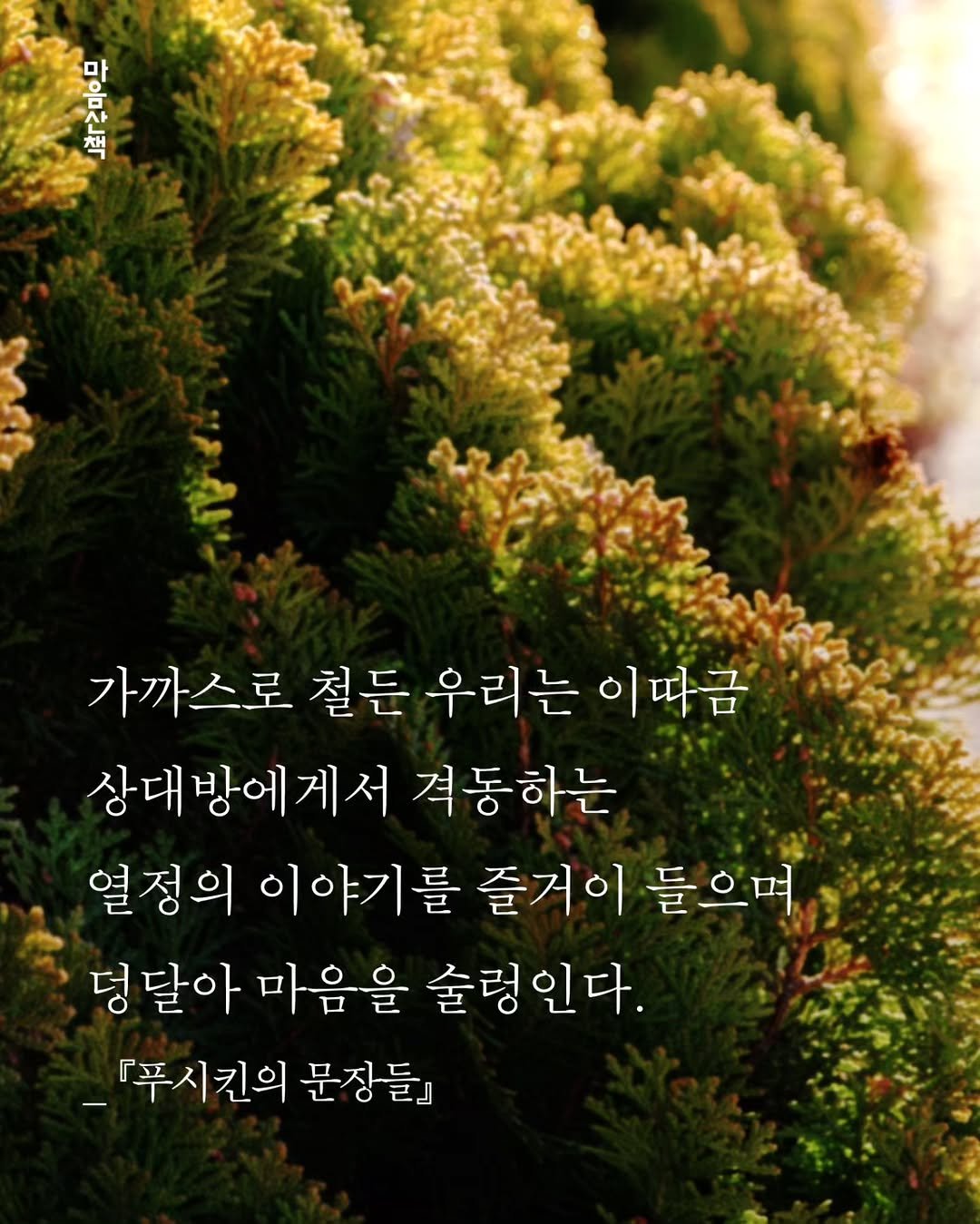 Photo by 마음산책 on February 11, 2026. May be an image of tree, outdoors and text that says '아하는 ั 음 가까스로 철든 우리는 이따금 상대방에게서 격동하는 열정의 이야기를 즐거이 들으며 덩 달아 마음을 술렁인다. ·푸시킨의 문장들』'.