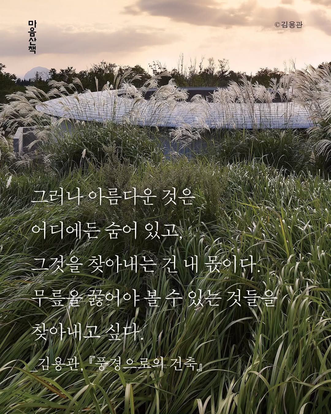 Photo by 마음산책 on April 24, 2026. May be an image of white lily, baby's-breath, baby blue eyes flower, lily, outdoors and text that says '있고은 ©김용관 그러나 아름다운 것은 어디에든 어디에든숨어있고 숨어 있고, 그것을 찾아내는건내몫이다. 몫이다 찾아내는 건 내 무릎을끓어야볼순있는 있는 것들을 무릎을 찾아내고 싶다. 김용관, 『풍경으로의 건축'.