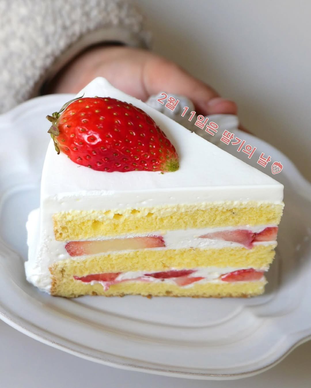 Photo by 마음산책 on February 10, 2026. May be an image of strawberry, chiffon cake, fruitcake and text that says '2월 2원13일은 1 11일은 11 딸기의 날 날을 딸기의'.