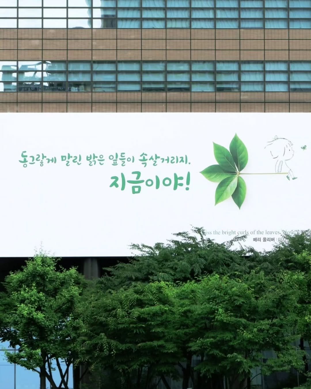 maumsanchaek 게시물 이미지: 지금이야!
—
와, 광화문 교보빌딩에 새로운 글판이 걸렸습니다.
여름을 맞아 바뀐...