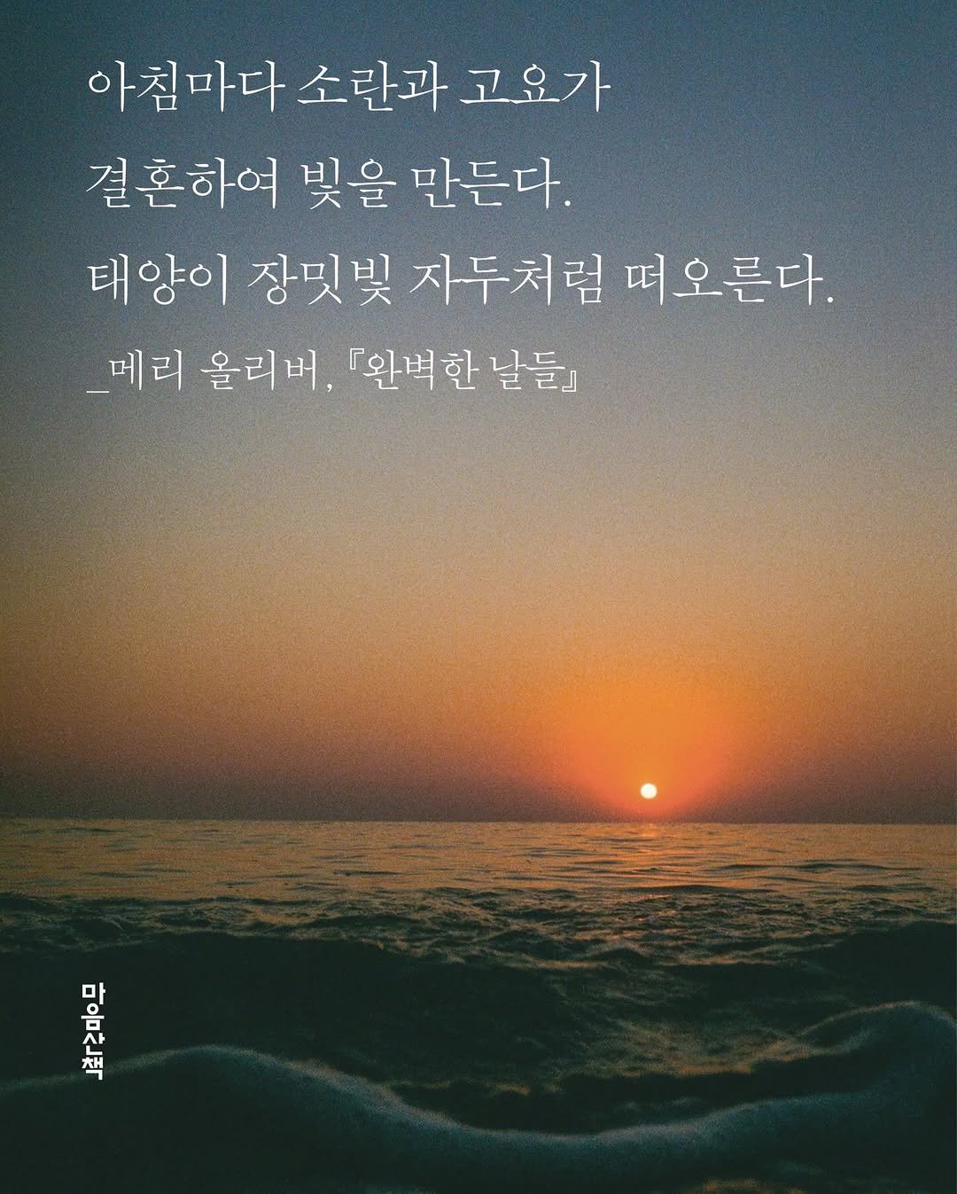 Photo by 마음산책 on January 01, 2026. May be an image of text that says '아침마다 소란과 고오가 결혼하여 빛을 만든다. 태양이 태 장밋빛 头 자두처럼 떠오른다. _메리 올리버, 『완벽한 『완벽한날들 날들』 마'.
