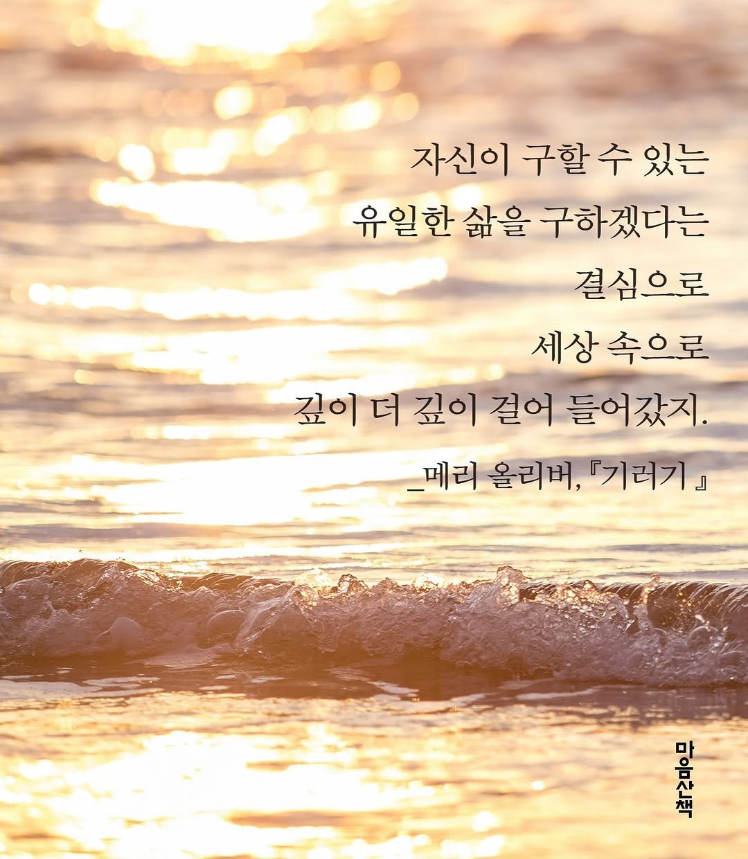 Photo by 마음산책 on August 17, 2025. May be an image of pie, outdoors and text that says '자신이 구할 수 자신이구할수있는 있는 유일한 한 삶을 구하겠다는 유일 결심으로 세상속으로 속으로 세상 깊이더 더 깊이 걸어 들어갔지. _메리 올리버, ፀዛ, 『기러기』 لـ 대문은'.