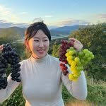 podocheong_winery 프로필 사진