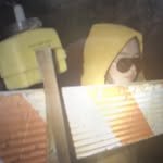 snowstrippers 프로필 사진