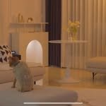 jisoonhome 프로필 사진