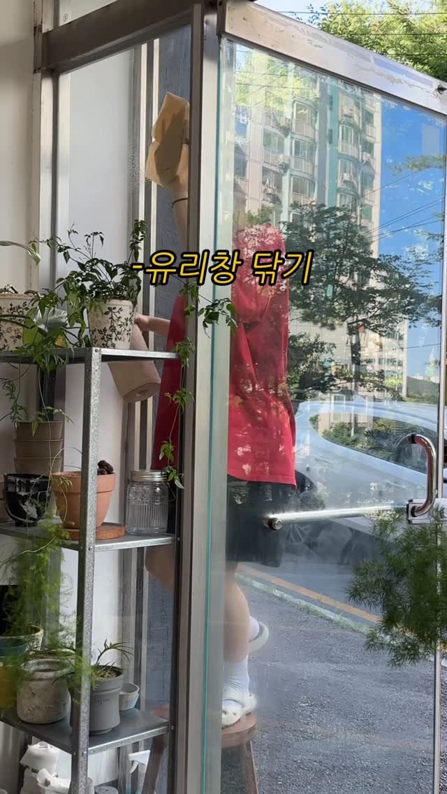 maximal_green_ 게시물 이미지: 유리 닦는데 괜히 감성적인 브금 쓰기
😁
그래도 닦아놓으니깐
봐줄만 한 것 같기도...