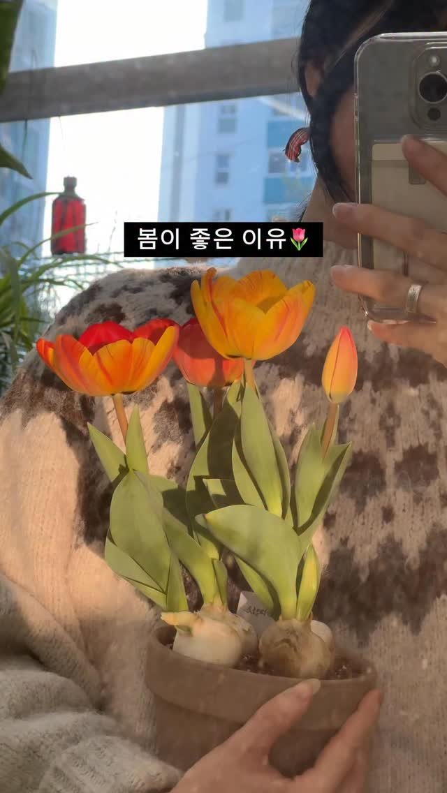 maximal_green_ 게시물 이미지: 요즘은 식물들 신엽 보는 재미가 쏠쏠해요😁
튤립도 피고, 다른 식물들도 쑥쑥...