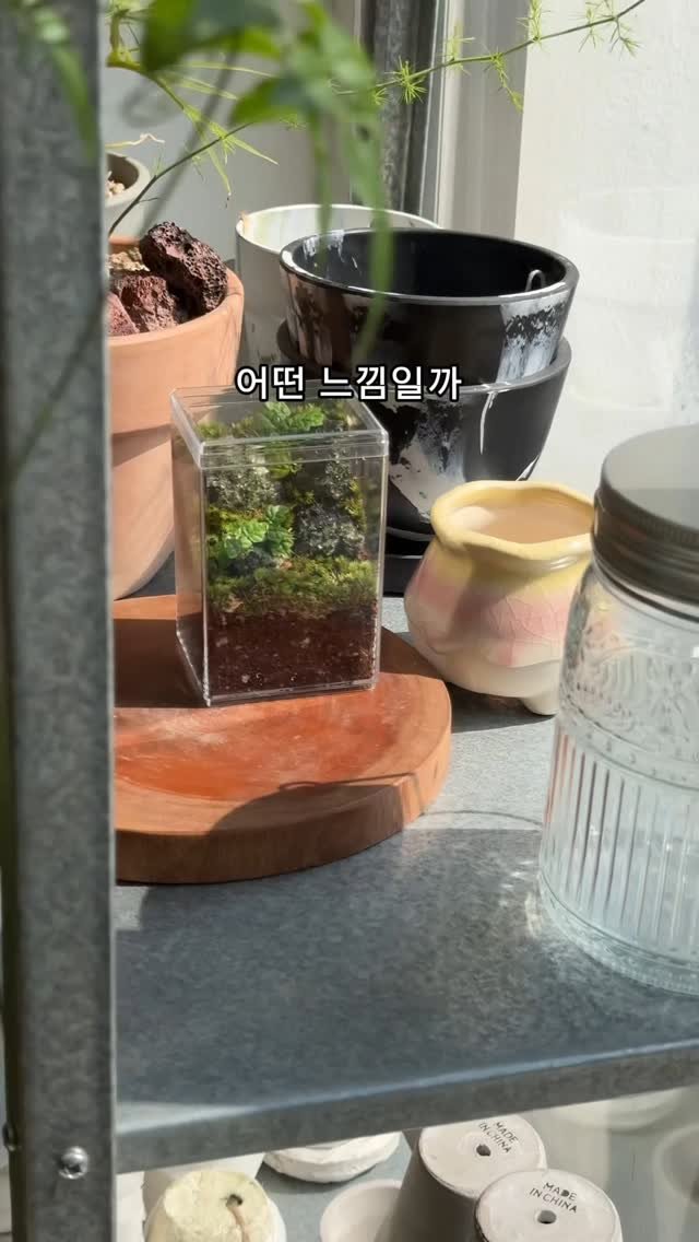 maximal_green_ 게시물 이미지: 뻥이고 가게에 있습니다 😁
상상만 했을 때는 이렇게 괜찮을지 몰랐는데..
만들고...