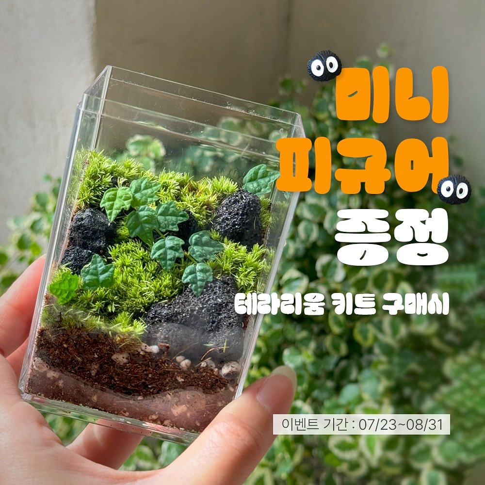 Photo by 맥시멀그린 식물&테라리움 on July 24, 2025. May be an image of plant and text that says ''οιθι 피규어. 증정 테라리움 키트 구매심 이벤트 肥 07/23~08/31'.