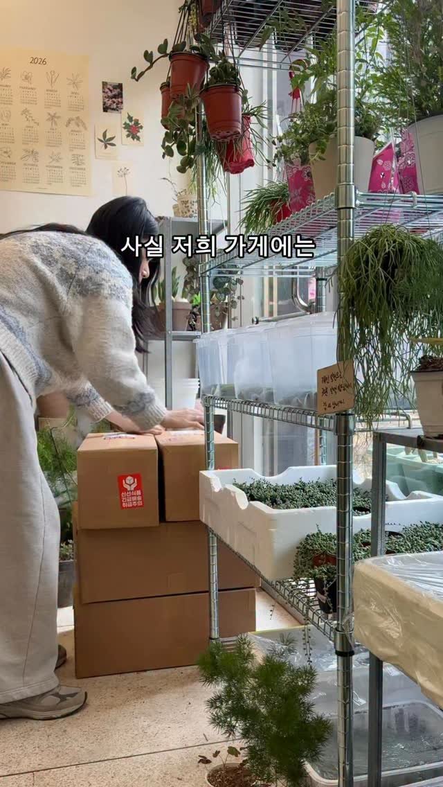 maximal_green_ 게시물 이미지: 여러분의 생각은 어떤가요???
역시 예뻐서 일까요?🥰

-
아무튼 오늘도 열심히...