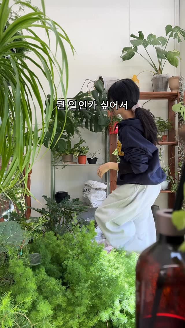 maximal_green_ 게시물 이미지: 우당탕 쿠당탕 쏴아아ㅏ아아ㅏ아아
(화분 엎어지는 소리) (흙 쏟아지는 소리)

아니...