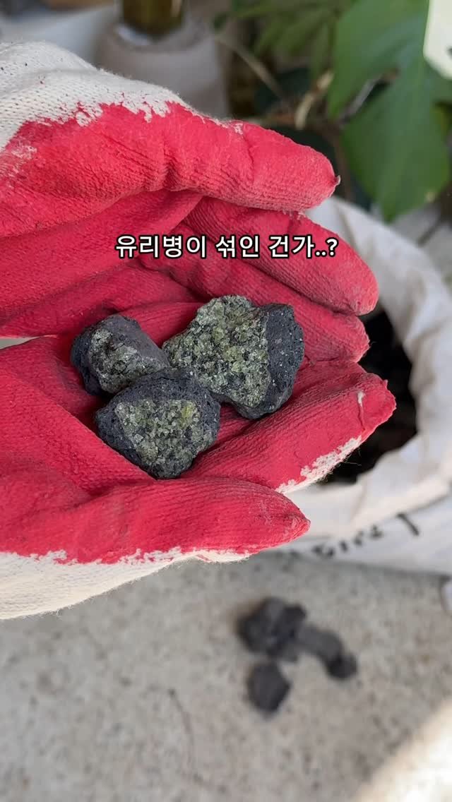 maximal_green_ 게시물 이미지: 저에게 있는건 대부분이 감람석 일테지만..
페리도트가 될 수도 있었던 광물이라니...