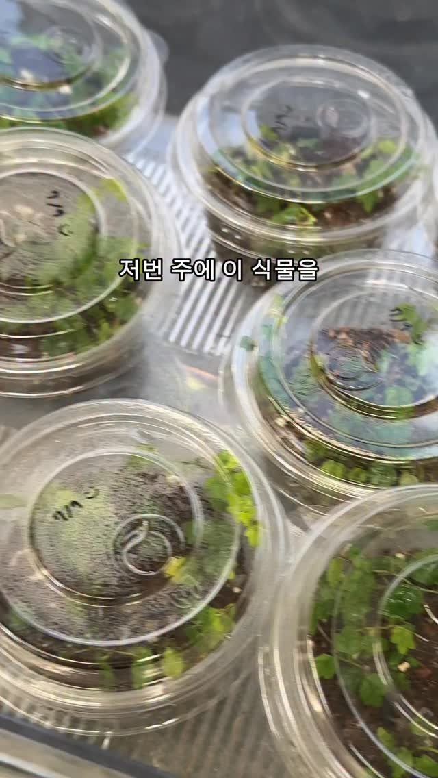 maximal_green_ 게시물 이미지: 저번 주 목요일부터 계속 택배만 포장했어요🥰
여러분 덕분입니다 정말 감사합니다...