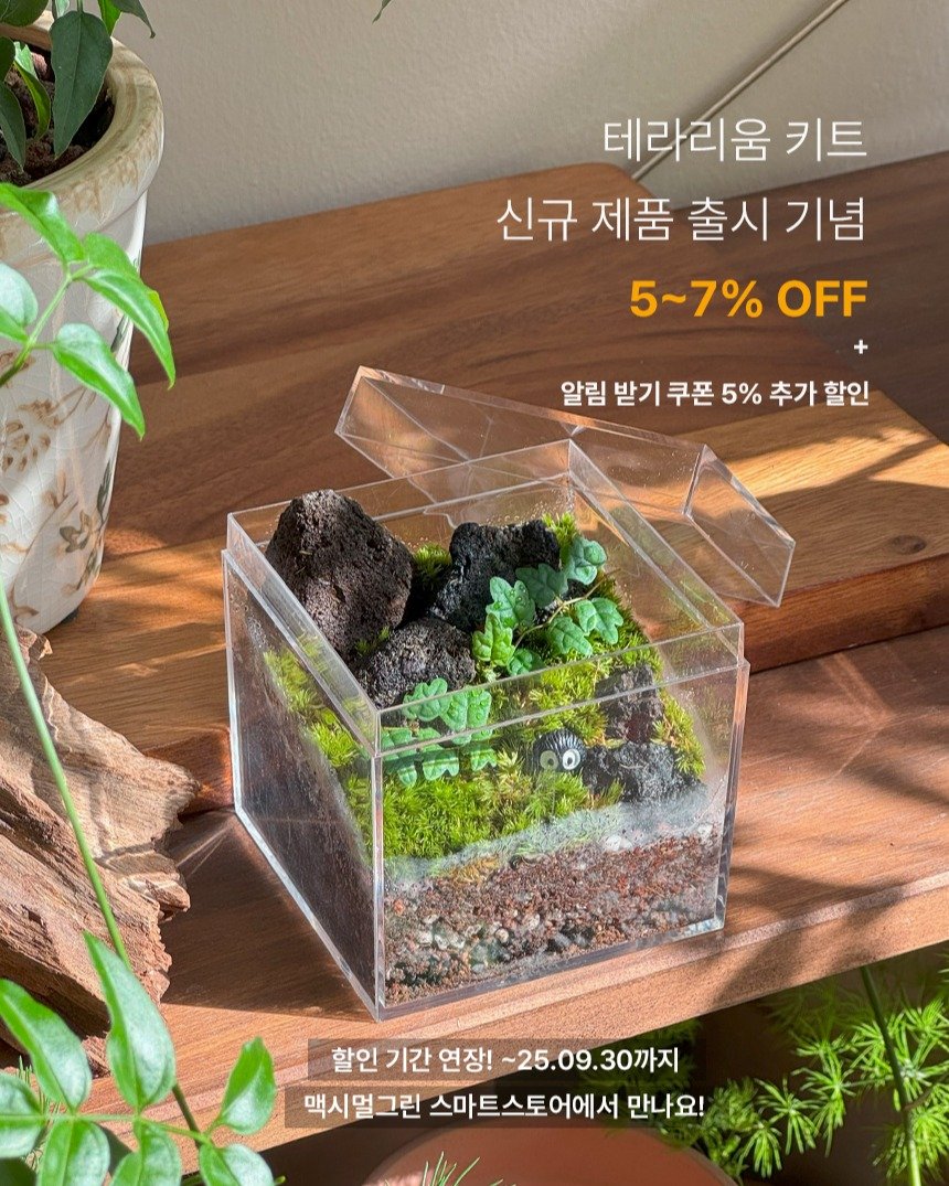 Photo by 맥시멀그린 식물가게 & 테라리움 on September 17, 2025. May be an image of ivy and text that says '테라리움 키트 신규 제품 신규제품출시기념 출시 출시기념 5~7% 5~7%OFF OFF 알림 받기 쿠폰 5% 추가 할인 할인 기간 연장! ~25.09.30까지 맥시멀 멀 맥시멀그린 스마트스토어에서 스마 만나요!'.